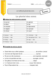 Je maîtrise le pluriel des noms - Exercices avec correction : 7ème Harmos - PDF à imprimer