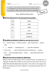 Comment distinguer les différents déterminants- Fiches démonstratifs et possessifs. - Exercices  : 7ème Harmos - PDF à imprimer