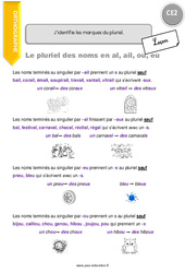 J’identifie les marques du pluriel. - Cours, Leçon : 5ème Harmos - PDF à imprimer