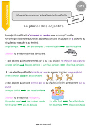 Orthographier correctement le pluriel des adjectifs qualificatifs. - Cours, Leçon : 6ème Harmos - PDF à imprimer