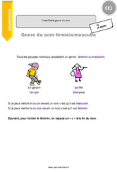 J’identifie le genre du nom. - Cours, Leçon : 4ème Harmos - PDF gratuit à imprimer