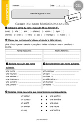 J’identifie le genre du nom. - Exercices avec correction : 4ème Harmos - PDF à imprimer