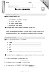 Les synonymes - Examen Evaluation - Bilan : 6ème Harmos - PDF à imprimer