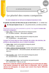 Je maîtrise les différents pluriels - Cours, Leçon : 7ème Harmos - PDF à imprimer