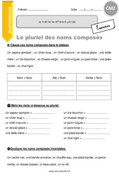 Je maîtrise les différents pluriels - Exercices  : 7ème Harmos - PDF à imprimer