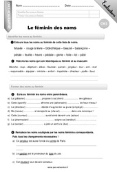 Le féminin des noms - Examen Evaluation - Bilan : 6ème Harmos - PDF à imprimer