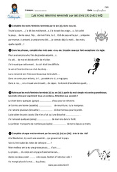 Les noms féminins terminés par les sons [é] [té] [tié] - Exercices avec correction : 6ème Harmos - PDF à imprimer