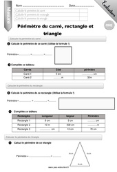 Périmètre du carré du rectangle et du triangle - Examen Evaluation - Bilan : 7ème Harmos - PDF à imprimer