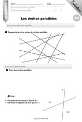 Droites parallèles - Examen Evaluation - Bilan : 7ème Harmos - PDF à imprimer