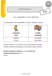 J’identifie le pluriel du nom. - Cours, Leçon : 4ème Harmos - PDF gratuit à imprimer