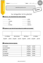 J’identifie le pluriel du nom. - Exercices  : 4ème Harmos - PDF à imprimer