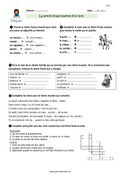 Lettre finale et muette d’un mot - Exercices avec correction : 6ème Harmos - PDF à imprimer