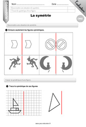 La symétrie - Examen Evaluation - Bilan : 7ème Harmos - PDF à imprimer