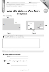 Mesurer l'aire et le périmètre d'une figure - Examen Evaluation - Bilan : 7ème Harmos - PDF à imprimer