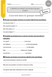 J’identifie et je marque l’accord dans le groupe nominal - Exercices avec correction : 5ème Harmos - PDF à imprimer