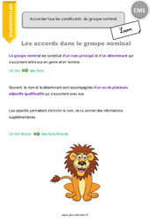 Les accords dans le groupe nominal - Cours, Leçon : 6ème Harmos - PDF gratuit à imprimer