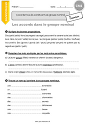 Les accords dans le groupe nominal - Exercices  : 6ème Harmos - PDF à imprimer