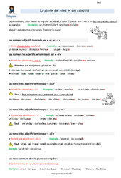 Le pluriel des noms et des adjectifs - Cours, Leçon : 7ème Harmos - PDF à imprimer