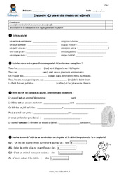 Le pluriel des noms et des adjectifs - Examen Evaluation - Bilan : 7ème Harmos - PDF à imprimer