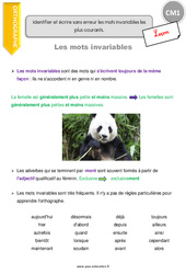 Identifier et écrire sans erreur les mots invariables les plus courants - Cours, Leçon : 6ème Harmos - PDF gratuit à imprimer