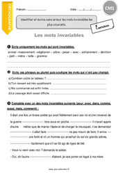 Identifier et écrire sans erreur les mots invariables les plus courants - Exercices  : 6ème Harmos - PDF à imprimer