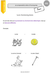 Homonymes - Cours, Leçon : 4ème Harmos - PDF gratuit à imprimer