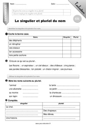 Singulier et pluriel du nom - Examen Evaluation - Bilan : 4ème Harmos - PDF à imprimer