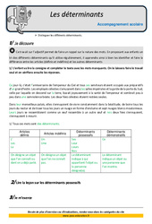 Déterminants - Soutien scolaire - Aide aux devoirs : 7ème Harmos - PDF à imprimer