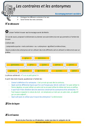 Contraires et les antonymes - Soutien scolaire - Aide aux devoirs : 7ème Harmos - PDF à imprimer