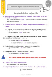 Pluriel des adjectifs - Cours, Leçon : 7ème Harmos - PDF gratuit à imprimer