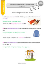 Homophones en - se et - ce - Cours, Leçon : 6ème Harmos - PDF gratuit à imprimer