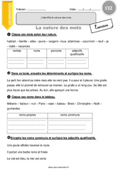 Nature des mots - Exercices avec correction : 5ème Harmos - PDF à imprimer