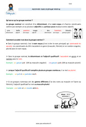 Accorder dans le groupe nominal - Cours, Leçon : 7ème Harmos - PDF à imprimer