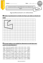 Agrandissement et réduction - Exercices  : 7ème Harmos - PDF à imprimer