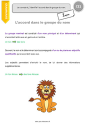 Accord dans le groupe du nom - Cours, Leçon : 4ème Harmos - PDF gratuit à imprimer