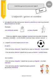 Genre et le nombre de l’adjectif - Cours, Leçon : 4ème Harmos - PDF gratuit à imprimer