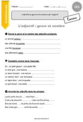 Genre et le nombre de l’adjectif - Exercices avec correction : 4ème Harmos - PDF à imprimer