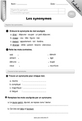 Synonymes - Examen Evaluation - Bilan : 4ème Harmos - PDF à imprimer
