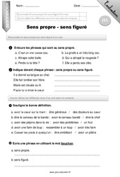 Sens propre - Sens figuré - Examen Evaluation - Bilan : 4ème Harmos - PDF à imprimer