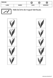 Mathématiques - Muguet : 1ère Harmos - PDF à imprimer