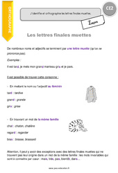 Lettres finales muettes - Cours, Leçon : 5ème Harmos - PDF gratuit à imprimer