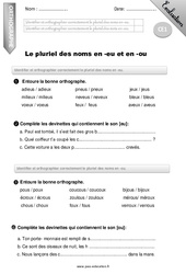 Pluriel des noms en - eu et en - ou - Examen Evaluation - Bilan : 4ème Harmos - PDF à imprimer