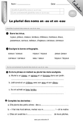 Pluriel des noms en - en - eau - Examen Evaluation - Bilan : 4ème Harmos - PDF à imprimer