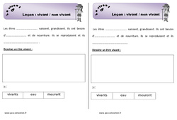 Vivant et non vivant - Cours, Leçon : 3eme Harmos - PDF à imprimer
