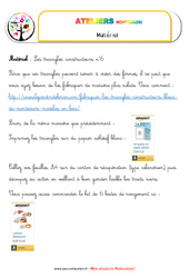 Triangles constructeurs numéro 6 - Vie sensorielle - Liste des matériaux : 1ère, 2ème, 3ème, 4ème Harmos - PDF à imprimer