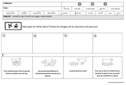 Images séquentielles - Pâques : 2ème Harmos - PDF à imprimer