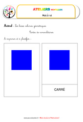 Bases des solides géométriques - Vie sensorielle - Liste des matériaux : 1ère, 2ème, 3ème, 4ème Harmos - PDF à imprimer