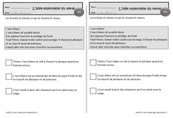 L’ours blanc - Exercices de lecture - Idées essentielles d'un texte : 4ème Harmos - PDF à imprimer