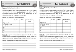 Malika, la petite indienne - Les substituts - Exercices de lecture : 4ème Harmos - PDF à imprimer