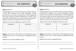 Morsures - Les substituts - Exercices de lecture : 4ème Harmos - PDF à imprimer